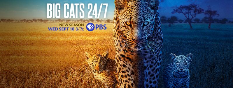 File:536276853 1328167988668591 3045258921290079682 n.jpg